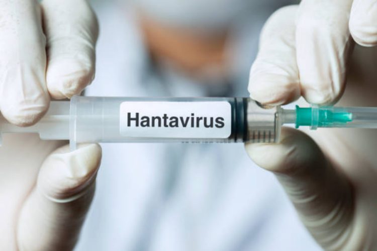 Vaccino Hantavirus