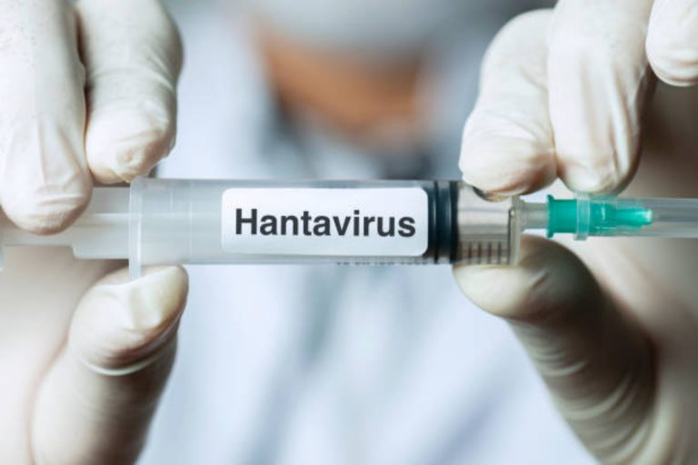 Vaccino Hantavirus
