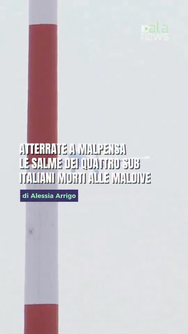 Le salme di Monica Montefalcone, Giorgia Sommacal, Muriel Oddenino e Federico G…