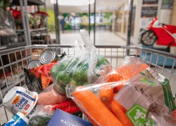 fresh-vegetables-canned-food-shopping-600nw-2705926927.webp