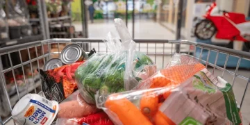 fresh-vegetables-canned-food-shopping-600nw-2705926927.webp