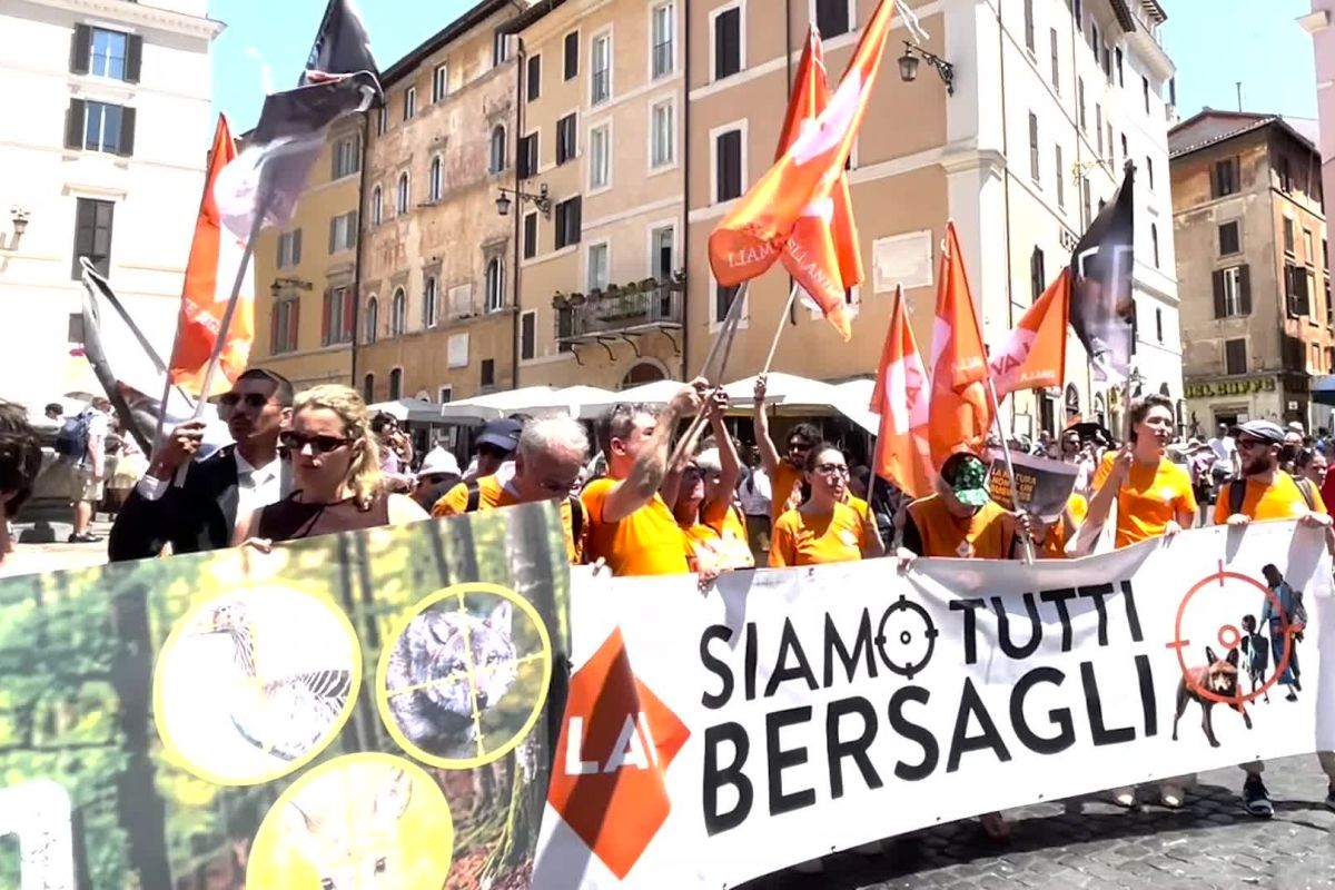Caccia, via libera del Senato: Regioni più poteri, UE avverte l’Italia