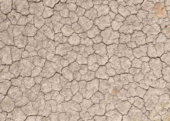 Siccità in Europa: 156.703 km² colpiti nel 2024, costi per l'Italia a 13,4 miliardi