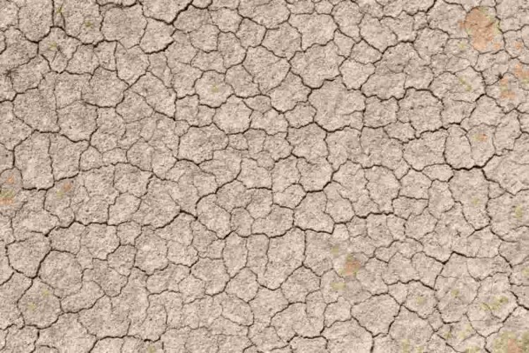 Siccità in Europa: 156.703 km² colpiti nel 2024, costi per l'Italia a 13,4 miliardi