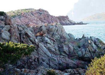 Sardegna, 4 tonnellate di sabbia sequestrata tornano in spiaggia: progetto contro i furti