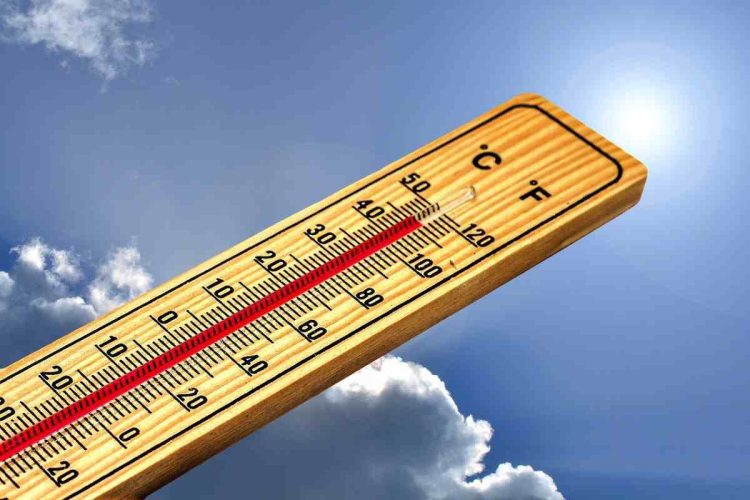 Ondata di calore
