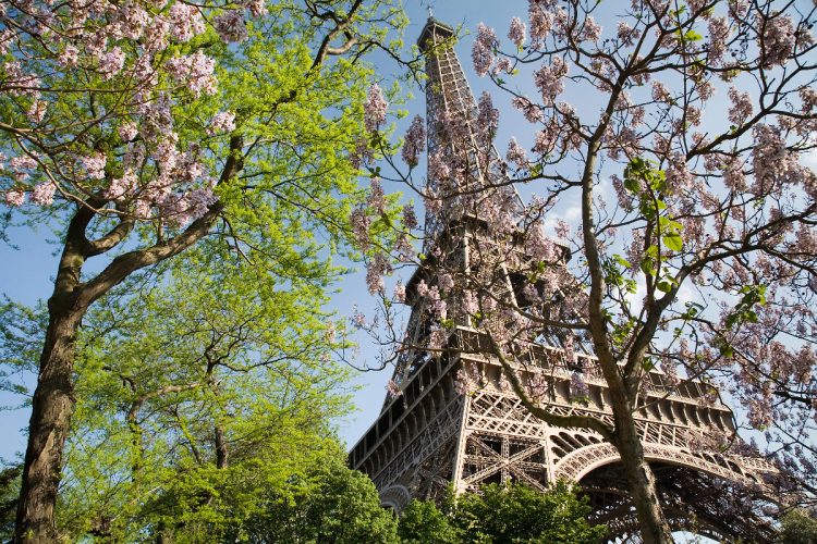 Parigi, caldo torrido: chiusure anticipate per Torre Eiffel e Louvre 23 giugno 2026 alanews