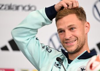 Serpente velenoso in campo - nella foto, Kimmich