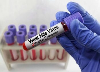 West Nile in Veneto
