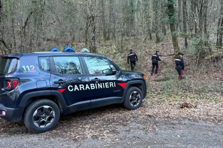 carabinieri bosco.webp