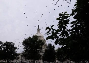 Condannato per i fatti a Capitol Hill viene assunto al Pentagono - nella foto, Capitol Hill