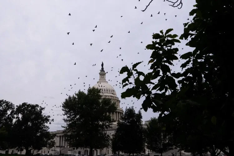 Condannato per i fatti a Capitol Hill viene assunto al Pentagono - nella foto, Capitol Hill