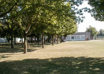 Fila di alberi su prato verde con persone e edificio sullo sfondo