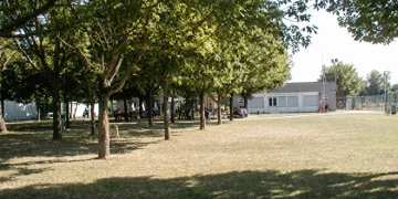 Fila di alberi su prato verde con persone e edificio sullo sfondo