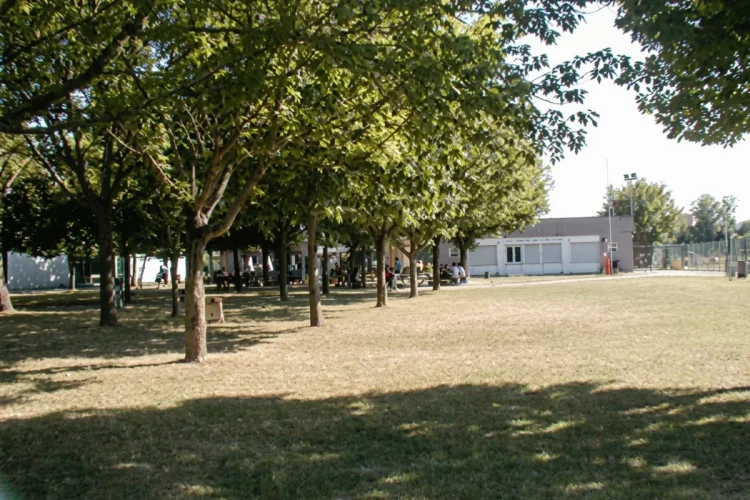 Fila di alberi su prato verde con persone e edificio sullo sfondo