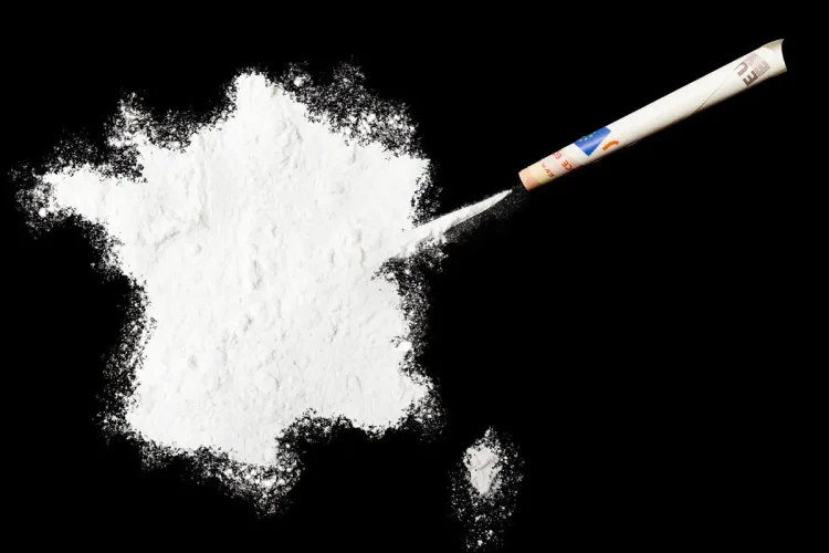 Maxi sequestro di droga a Milano - nela foto, della cocaina