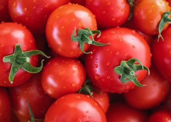 myriams-fotos-tomatoes-7433786_1280.jpg