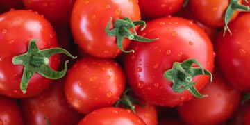 myriams-fotos-tomatoes-7433786_1280.jpg