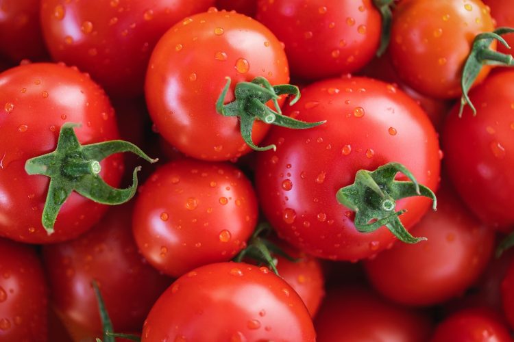 myriams-fotos-tomatoes-7433786_1280.jpg
