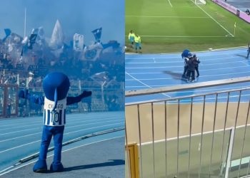 La mascotte del Pescara Ciuffo