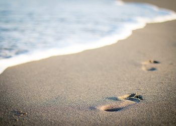 pexels-sea-1281780_1280.jpg