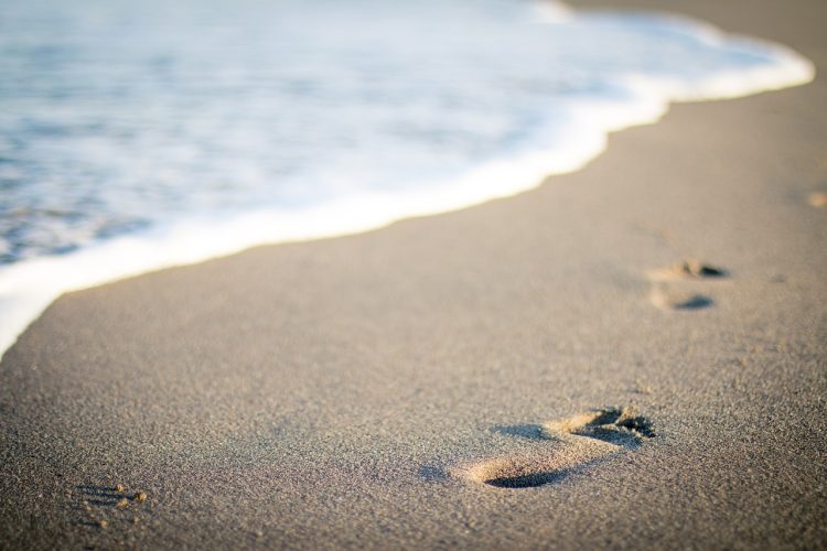 pexels-sea-1281780_1280.jpg
