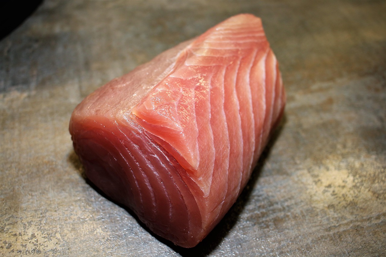 reinhardthrainer-tuna-6568345_1280.jpg