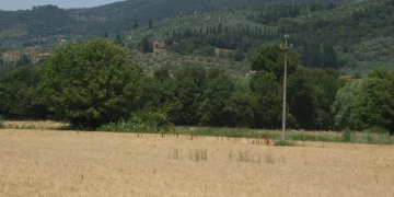 Campo 9 luglio 2026 alanews.jpg
