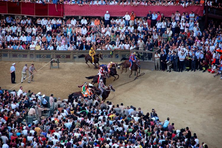 Il Palio di Siena luglio 2008 1.jpg