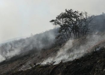 Le conseguenze di uno degli incendi divampati in Spagna