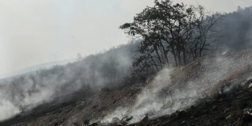 Le conseguenze di uno degli incendi divampati in Spagna