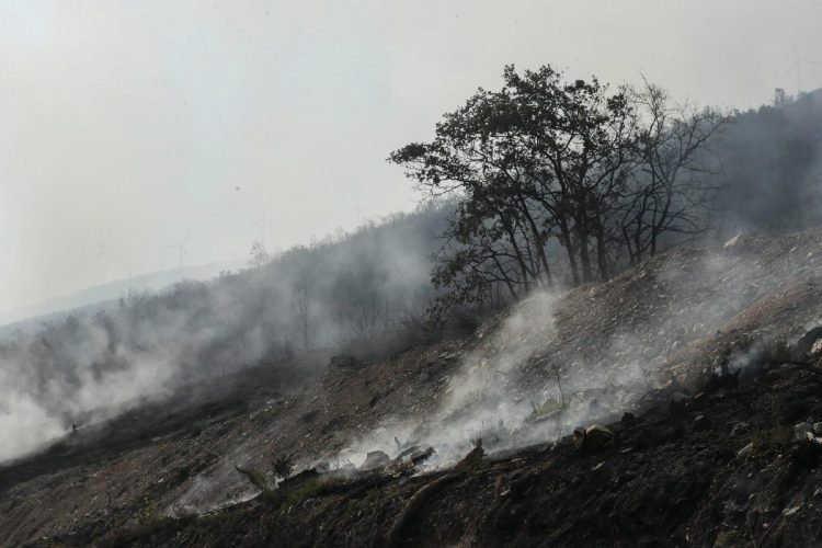 Le conseguenze di uno degli incendi divampati in Spagna