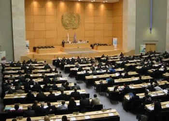 ONU 3 luglio 2026 alanews.webp