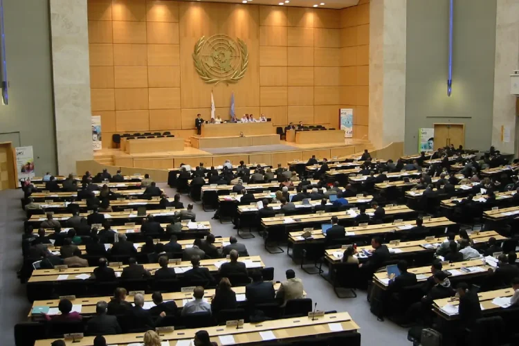 ONU 3 luglio 2026 alanews.webp