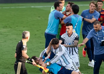 Rissa dopo Spagna Argentina - nella foto, l'aggressione