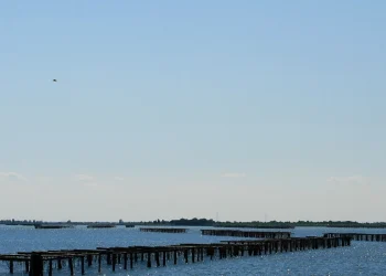 Siccità nel Delta del Po - nella foto, la laguna del Delta del Po
