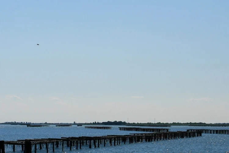 Siccità nel Delta del Po - nella foto, la laguna del Delta del Po