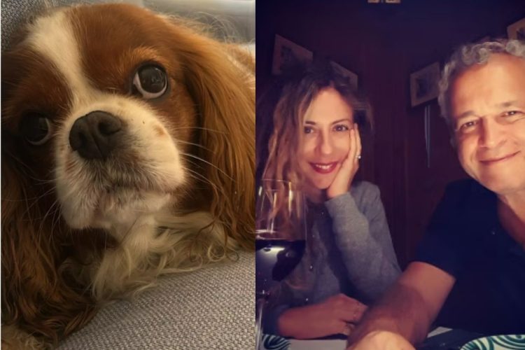 Mentana e Fagnani, l'addio social alla cagnolina Bice: Grazie a chi ha provato a salvarla