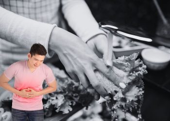 Ciclosporiasi, allarme negli Usa: cos’è il parassita che provoca diarrea per settimane