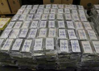 Cocaina nascosta tra le banane: sequestrati oltre 770 chili al porto di Vado Ligure