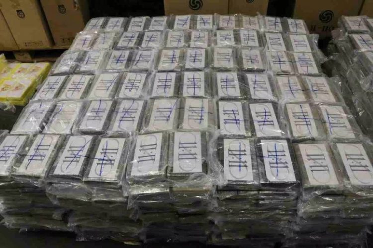 Cocaina nascosta tra le banane: sequestrati oltre 770 chili al porto di Vado Ligure