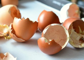 congerdesign-egg-shells-706502_1280.jpg