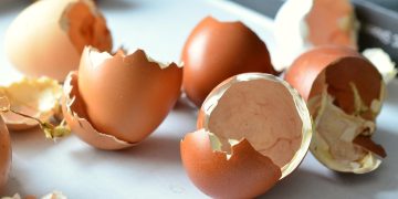 congerdesign-egg-shells-706502_1280.jpg