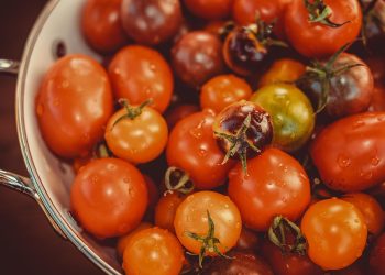 couleur-tomatoes-3702962_1280.jpg