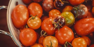 couleur-tomatoes-3702962_1280.jpg