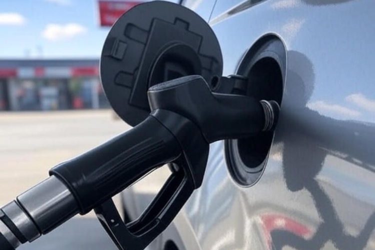 UDiesel, l'analisi: Volvo, VW e Mercedes i motori che superano i 400mila km