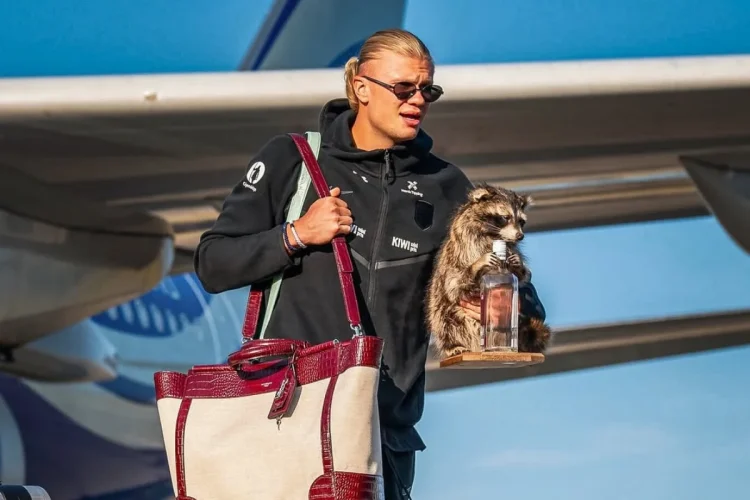Erling Haaland scende dall'aereo con un procione