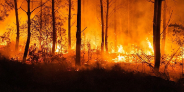 Incendi in Spagna, arrivano i rinforzi dalla Germania