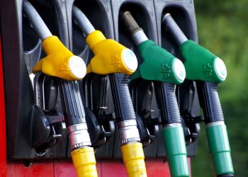 iade-michoko-fuel-1596622_1280.jpg