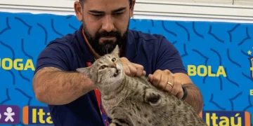 Brasile eliminato, riesplode la "maledizione del gatto Hexa" dopo 1.274 giorni